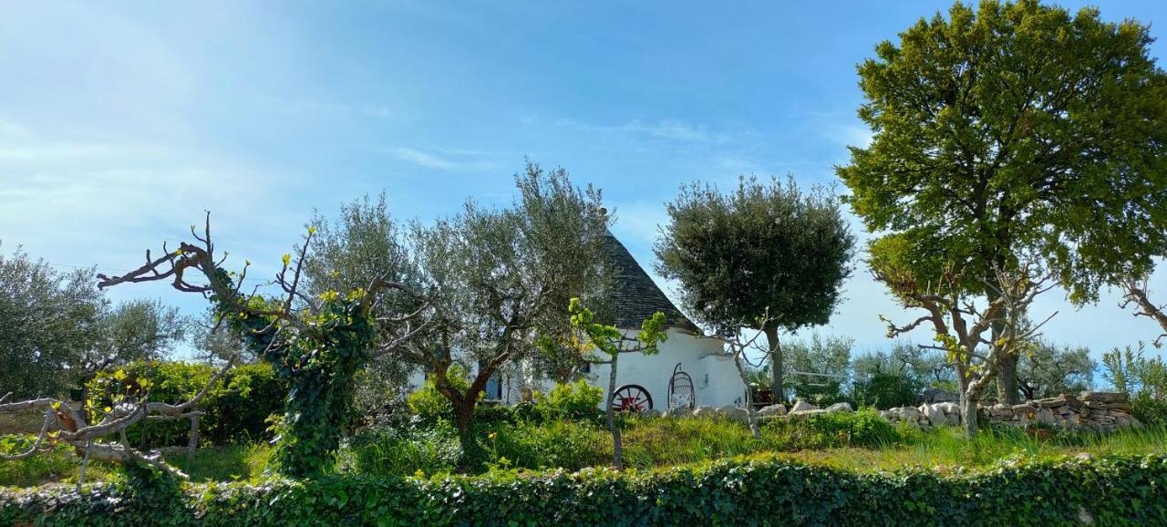 Antico Trullo Immerso Nella Campagna アルベロベッロ エクステリア 写真